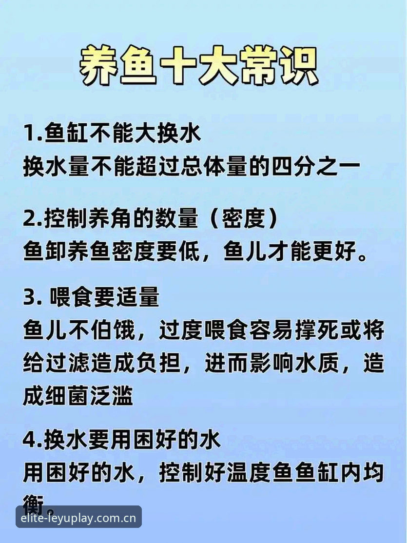 乐鱼更新使用指南：老用户必备的实用技巧与经验分享